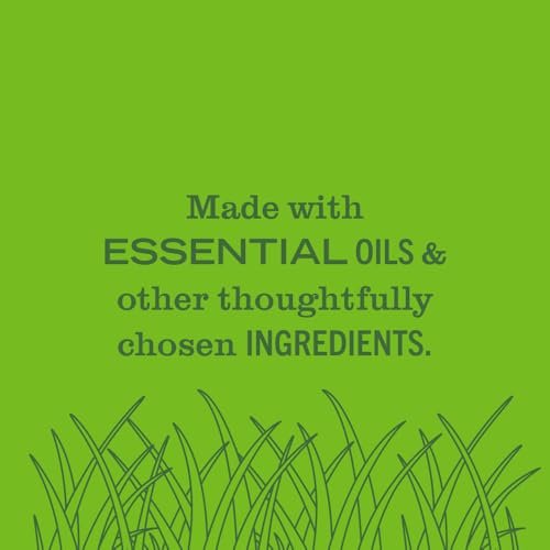 41ZIY8LrAZL._SL500_.jpg Mrs. Meyer's Clean Day Room Freshener in Fresh Cut Grass Scent, 8 oz Non-Aerosol Spray. - Image 6
