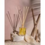 Brooklyn Candle Studio Maui Reed Diffuser - Sea Salt, Driftwood & Ylang Ylang - 8 Rattan Reeds, 3.7oz - Image 4