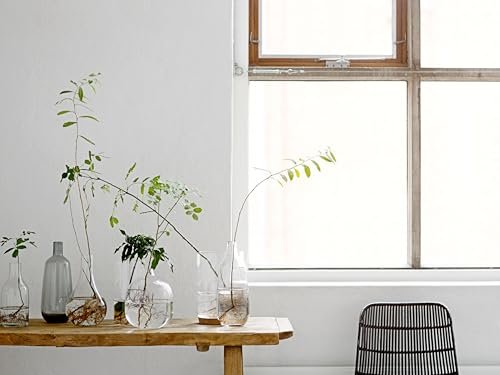 41gyVVv6pML._SL500_.jpg Bloomingville Stout Clear Glass Vase – Elegant Home Décor Accent for Any Room - Image 7