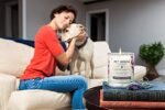 Pet House Citrus Candle: Long-Lasting, Plant-Based, Clean-Burning Candle for Pet Odor Control. - Image 8