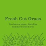 Mrs. Meyer's Clean Day Room Freshener in Fresh Cut Grass Scent, 8 oz Non-Aerosol Spray. - Image 3