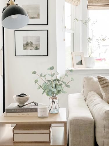 41rIY7KUTsL._SL500_.jpg Bessol 13.5” Artificial Eucalyptus Stems in Glass Vase with Faux Water for Home, Office, and Weddings - Image 3