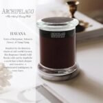 Archipelago Botanicals Havana Candle: Bergamot, Tobacco Flower & Ylang Ylang, Lead-Free Wicks, 60-Hour Burn, 8.6 oz. - Image 2