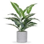 JC nateva 16" Small Fake Plants Artificial Tropical Faux Plants Indoor for Office Desk Shelf Bathroom Home Decor