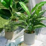 JC Nateva 16" Small Artificial Tropical Plants - Perfect Faux Decor for Office, Home & Bathroom - Image 8