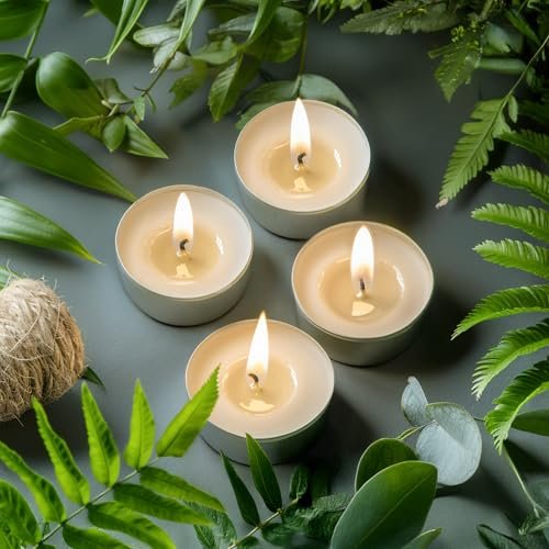 517s2Z4jF7L._SL500_.jpg 100 Pack Unscented Tea Candles - 8 Hour Burn Time for Shabbat, Weddings, Christmas & Home Decor - Image 6