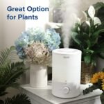 LEVOIT Quiet Humidifier for Bedroom: 3L Top Fill, 25W Cool Mist Diffuser for Home & Nursery. 360° Nozzle for Rapid Ultrasonic Humidification. - Image 7