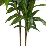 Almost Natural 48-Inch Real Touch Dracaena Silk Plant in Green - Perfect for Home Décor! - Image 7
