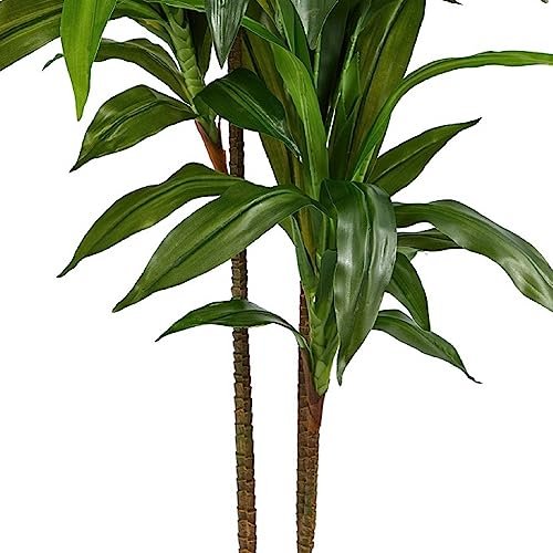 51DLpCOSZL._SL500_.jpg Almost Natural 48-Inch Real Touch Dracaena Silk Plant in Green - Perfect for Home Décor! - Image 7