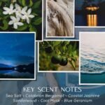 Havenwick Moonlit Reflection 22-oz Soy Blend Candle: 110-130 Hours, Perfect for Housewarming Gifts! - Image 4