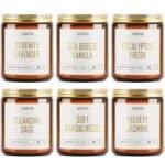 AOOVOO Candles Set - 6PC Scented Candles, Soy Candle, Aromatherapy Candle, Soy Wax Candle, Candle for Home Scented, Lavender/Vanilla/Eucalyptus/Sage/Jasmine/Sandalwood