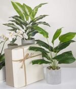 JC Nateva 16" Small Artificial Tropical Plants - Perfect Faux Decor for Office, Home & Bathroom - Image 9
