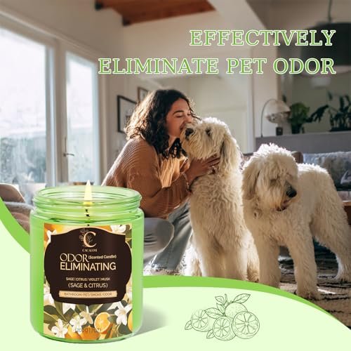 51Sl52PpndL._SL500_.jpg 4-Pack Pet Scented Candles for Home, Single Wick Soy Candles, Over 50 Hours Burn Time, Perfect Gift! - Image 3