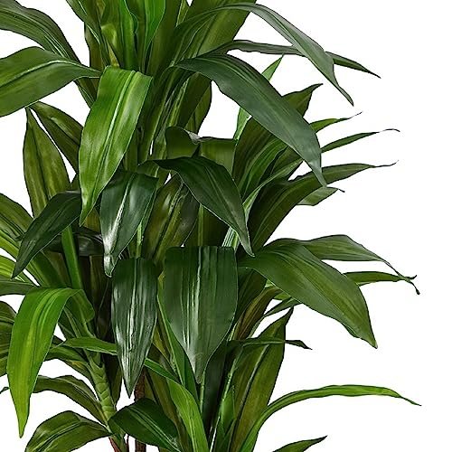 51UjR3gKrL._SL500_.jpg Almost Natural 48-Inch Real Touch Dracaena Silk Plant in Green - Perfect for Home Décor! - Image 9