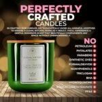 Waxily Eucalyptus Soy Candle | Non-Toxic Aromatherapy | Long-Lasting, Eco-Friendly, Vegan | Luxury Gift for Home Spa & Stress Relief | 12oz - Image 8