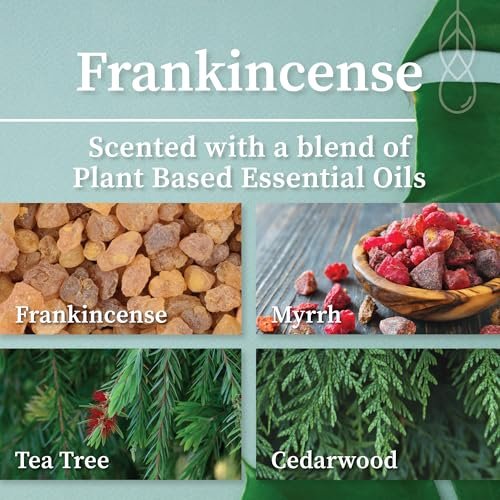 51gL55b2gSL._SL500_.jpg Hemlock Park Apothecary Wood Wick Candle Trio | 3 x 4oz Natural Coconut Wax Candles (Ritual, Sage, Palo Santo, Frankincense) - Image 7