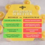 Big Dipper Wax Works Pure Beeswax Pillar Candle, 3" x 6", 90-Hour Burn Time, Large Candle. - Image 6