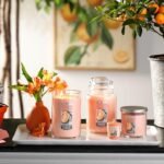 Yankee Candle Tangerine & Vanilla 22oz Large Jar Candle - 110+ Hours of Burn Time - Image 6