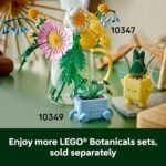 LEGO Botanicals Happy Plants - Stylish Decor for Bedrooms & Desks, Perfect Gift for Kids 9+! - Image 7