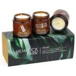 Hemlock Park Apothecary Wood Wick Candle Trio | Gift Set of Three 4 oz Candles Handcrafted with Natural Coconut Wax (Ritual | Sage, Palo Santo, Frankincense)