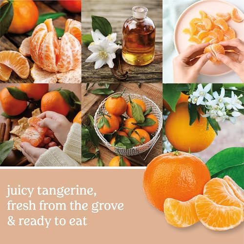 51qaGvWQnWL._SL500_.jpg Yankee Candle Tangerine & Vanilla 22oz Large Jar Candle - 110+ Hours of Burn Time - Image 5