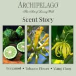 Archipelago Botanicals Havana Candle: Bergamot, Tobacco Flower & Ylang Ylang, Lead-Free Wicks, 60-Hour Burn, 8.6 oz. - Image 6