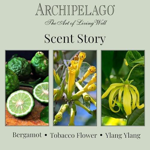 51rKsUVP6OL._SL500_.jpg Archipelago Botanicals Havana Candle: Bergamot, Tobacco Flower & Ylang Ylang, Lead-Free Wicks, 60-Hour Burn, 8.6 oz. - Image 6