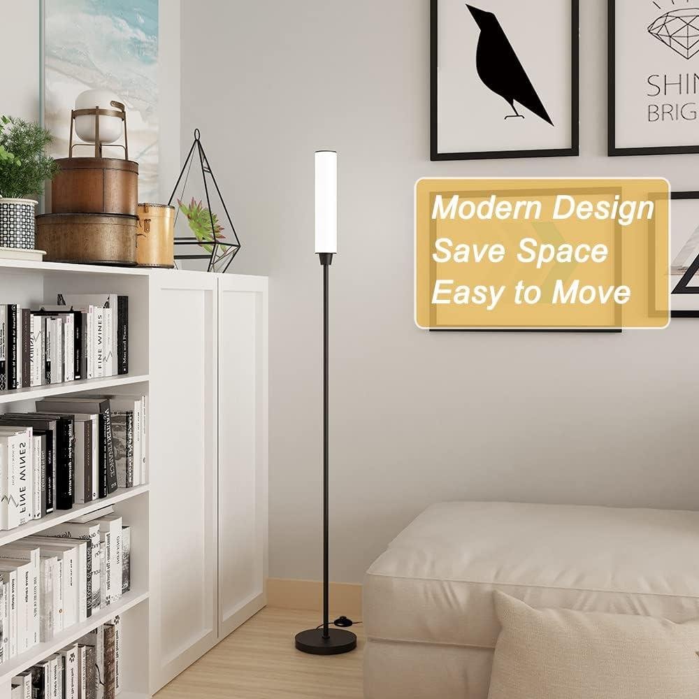 Our Review of Nukanu's Adjustable Floor Lamp with Remote Control