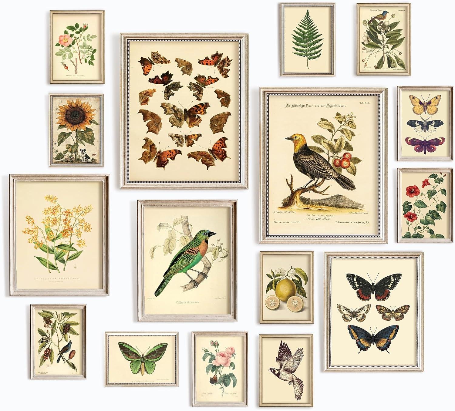 our Take‌ on 97 Decor's Vintage Botanical Prints