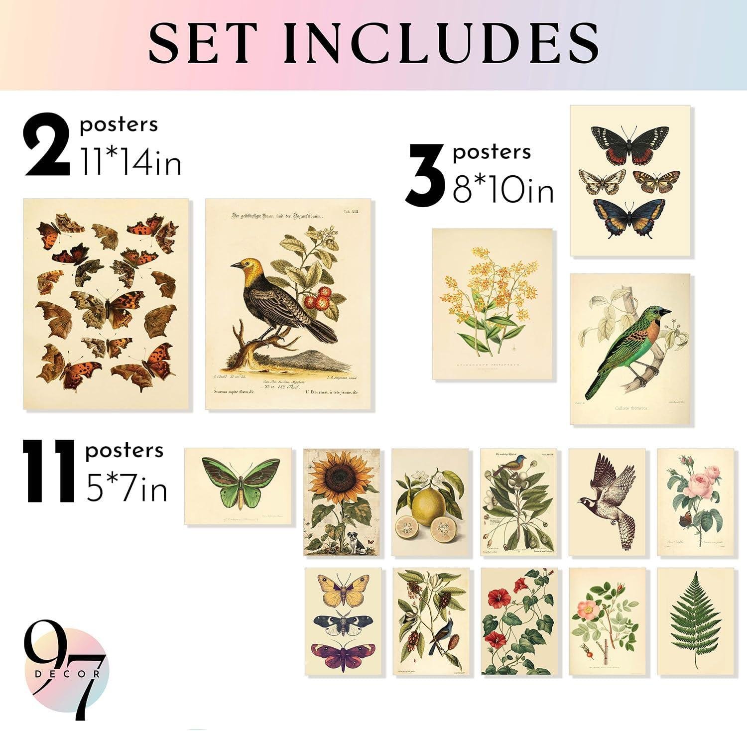 Our Take on 97 decor's Vintage Botanical Prints