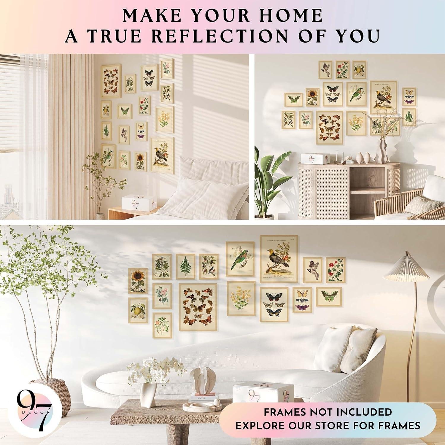 Our Take on 97 Decor's Vintage Botanical Prints