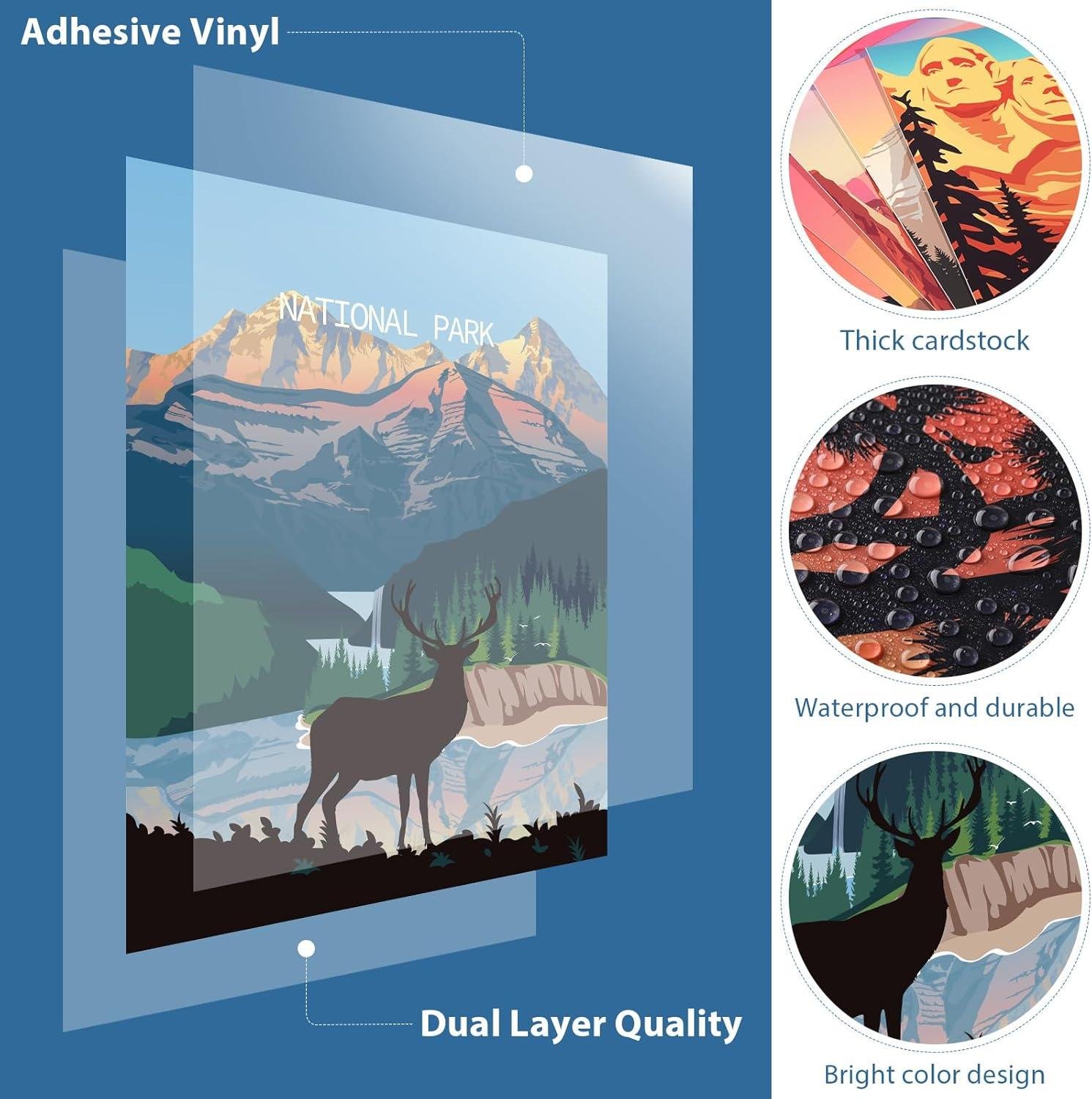 Bringing nature Home: Our Review of Outus Park ‌Posters