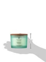 Chesapeake Bay Candle Balance + Harmony (Water Lily Pear) Scented Candle for Elegant Home Décor - Image 3