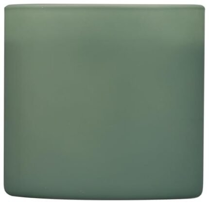 Calyan Wax Co. Green Evergreen Eucalyptus Glass Tumbler Candle, 5.3 Oz