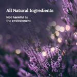 101 Magnificent Soy Candles - Set of 3 Pure Sage & Lavender in 3.5 oz Glass Jars, 42-Hour Burn Time - Image 3