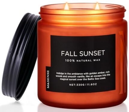 M&SENSE Baltic Amber Scented Candle, 11.6oz Clean Natural Soy Wax Non Toxic Up to 70 Hours Burn Time 2 Cotton Wick Housewarming Candle for Home Scented