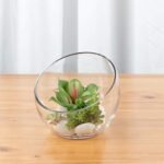 WGVI 7" Clear Slant Cut Bowl Glass Vase – Ideal for Terrariums, Candy, or Decor. Height: 6", Base: 4". 1 Piece. - Image 6