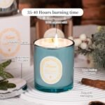 KONNI Apple Cinnamon Scented Soy Candle, 8.47oz Aromatherapy Gift for Men & Women, Relaxing Ambiance (Blue Cup) - Image 3