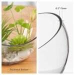 WGVI 7" Clear Slant Cut Bowl Glass Vase – Ideal for Terrariums, Candy, or Decor. Height: 6", Base: 4". 1 Piece. - Image 3
