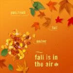 Febreze Air Mist Air Freshener Spray, Crisp Fall Breeze Scent, 8.8oz for Home & Bathroom Odor Control. - Image 3