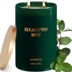 Goodpick Candle Eucalyptus Mint, Soy Candles for Home Scented, Stress Relief, 22oz Long Lasting 120 Hours
