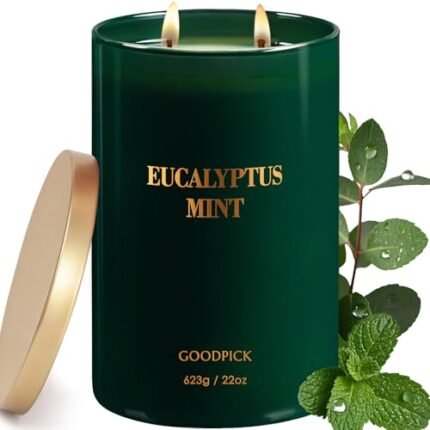 Goodpick Candle Eucalyptus Mint, Soy Candles for Home Scented, Stress Relief, 22oz Long Lasting 120 Hours