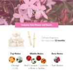 AGRARIA AirEssence Flower & Reed Diffuser Set: Handmade Sola Flower Home Fragrance Gift for Any Occasion. - Image 3
