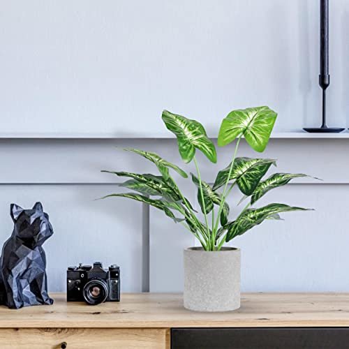 41SRf87pShL._SL500_.jpg Der Rose 2 Pack of Fake Tropical Plants - Artificial Indoor Decor for Home & Office, Sage Green - Image 5