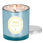 KONNI Scented Candles, Soy Candles, Aromatherapy Candle, Apple Cinnamon Scented Candle for Men Women, Soy Wax Candle, 8.47oz, Ideal for Creating Relaxing Ambience & Holiday Gifting (Blue Cup)