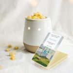 STRN Long-Lasting Scented Wax Melts: Ocean Breeze, Fresh Linen, Bohemia Forest, Summer Wind (4 x 2.5oz) - Image 9