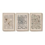 Set of 3 Framed William Morris Canvas Prints, 16x24" Neutral Floral Art for Living Room & Office. - Image 9