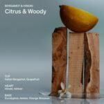 SALT & STONE Scented Candle for Men & Women | Long-Lasting 50-Hour Burn | Bergamot & Hinoki Aromas - Image 3