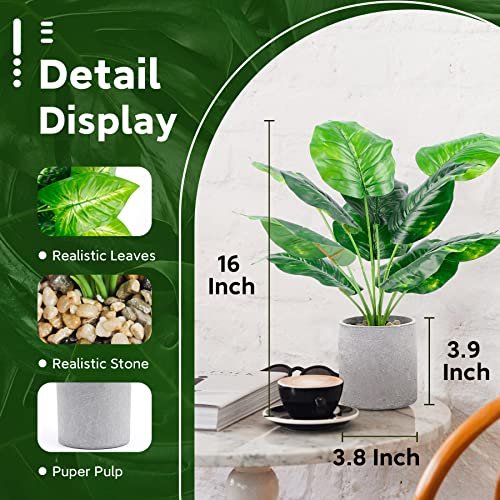 515fH71bKML._SL500_.jpg Der Rose 2 Pack of Fake Tropical Plants - Artificial Indoor Decor for Home & Office, Sage Green - Image 2