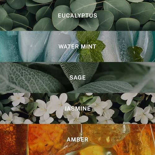 51KSN1Ae4dL._SL500_.jpg Hotel Lobby Candle Spa – Luxury 9.75oz Soy Candle with Eucalyptus, Mint, Sage, Jasmine & Amber – 65-Hour Non-Toxic Burn - Image 2